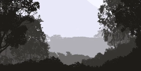 Abstrakt Silvers Tomme Bakgrund Med Dimmiga Skogsträd — Stockfoto