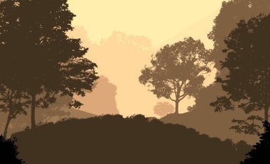 sisli orman ağaçları ile soyut siluetli arka plan