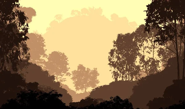 나무들 안개가 자욱해 잎으로 뒤덮인 언덕들 관목들 관목들 낙엽수 — 스톡 사진