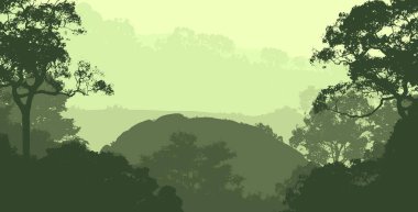 sisli orman ağaçları ile soyut siluetli arka plan