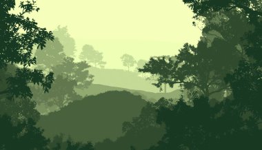 sisli orman ağaçları ile soyut siluetli arka plan