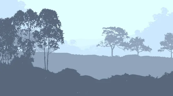 Streszczenie Sylwetki Tło Mgliste Drzewa Lasu — Zdjęcie stockowe