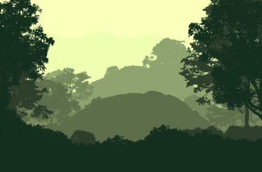 sisli orman ağaçları ile soyut siluetli arka plan