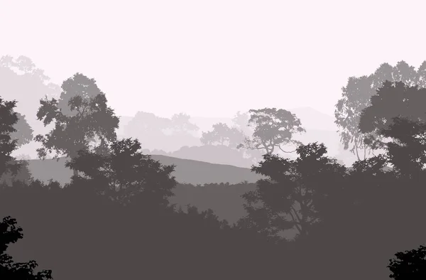 Abstraktní Silueta Mlhavé Lesní Stromy — Stock fotografie