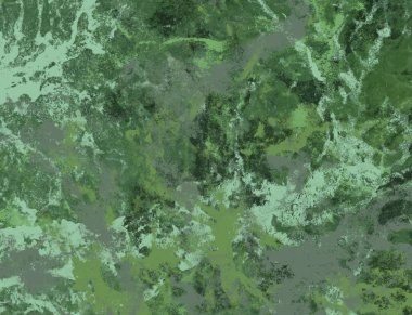 Ormanda yeşil yapraklar