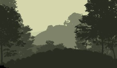 sisli orman ağaçları ile soyut siluetli arka plan
