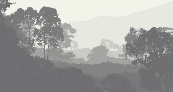 Sisli Orman Ağaçları Ile Soyut Siluetli Arka Plan — Stok fotoğraf