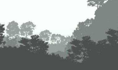 sisli orman ağaçları ile soyut siluetli arka plan