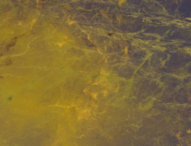 Metin için alanı olan soyut arkaplan