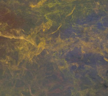 metin için alanı olan grunge arkaplanı