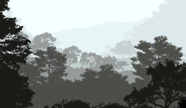 sisli orman ağaçları ile soyut siluetli arka plan