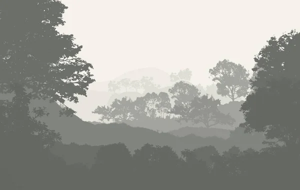 Illustration Des Arbres Dans Brouillard Brume Forêt Profonde Collines Couvertes — Photo