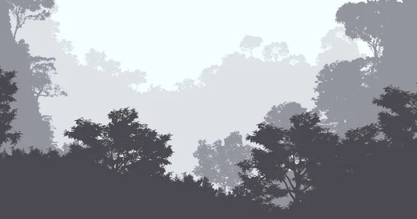 Sisli Orman Ağaçları Ile Soyut Siluetli Arka Plan — Stok fotoğraf