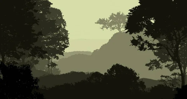 Illustrazione Alberi Nella Nebbia Foresta Profonda Foschia Colline Coperte Piante — Foto Stock