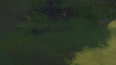 metin için alanı olan grunge doku arkaplanı