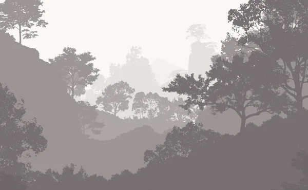 Ilustrace Stromy Mlze Hluboká Lesní Mlha Kopečky Pokryté Rostlinami Listím — Stock fotografie