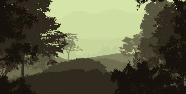 Abstract Fundal Siluetat Copaci Pădure Ceață — Fotografie, imagine de stoc