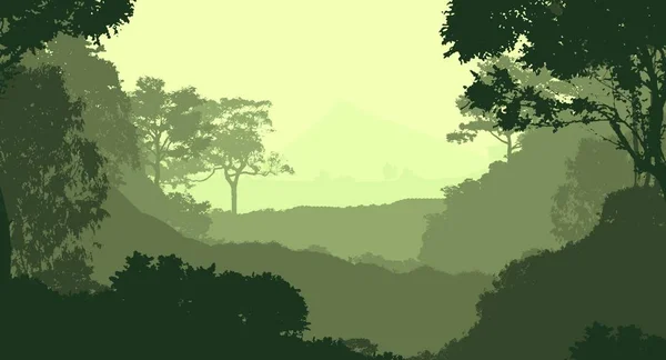 Fondo Silueta Abstracta Con Árboles Bosque Brumoso — Foto de Stock