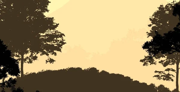 Ilustracja Drzewa Mgle Głęboka Mgła Lasu Wzgórza Pokryte Roślinami Liśćmi — Zdjęcie stockowe