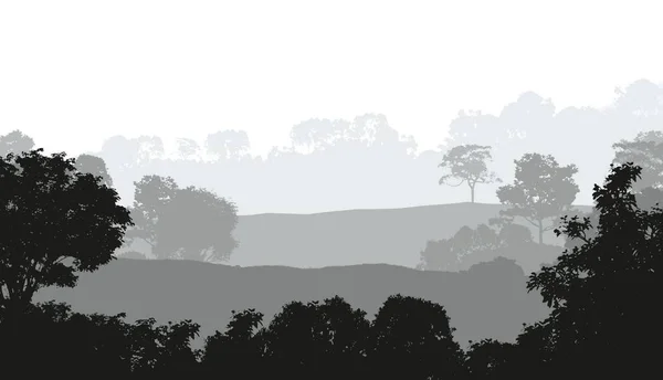 Абстрактный Силуэт Фона Туманными Лесами — стоковое фото