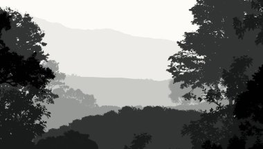 sisli orman ağaçları ile soyut siluetli arka plan