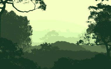 sisli orman ağaçları ile soyut siluetli arka plan