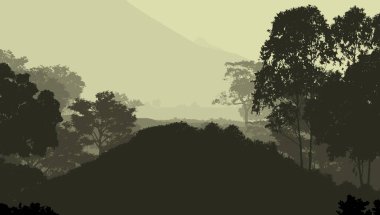 sisli orman ağaçları ile soyut siluetli arka plan