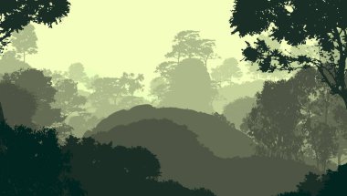 sisli orman ağaçları ile soyut siluetli arka plan