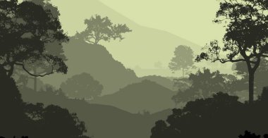 sisli orman ağaçları ile soyut siluetli arka plan