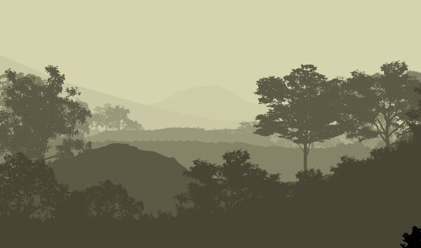 2d illustration. Trees in the fog. Deep forest haze. Hills covered by plants and foliage. Shrubs and bushes. Majestic view. Deep forest.