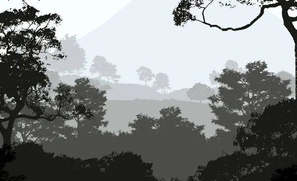 Abstrakt Silvers Tomme Bakgrund Med Dimmiga Skogsträd — Stockfoto