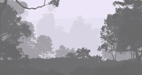 Abstract Fundal Siluetat Copaci Pădure Ceață — Fotografie, imagine de stoc