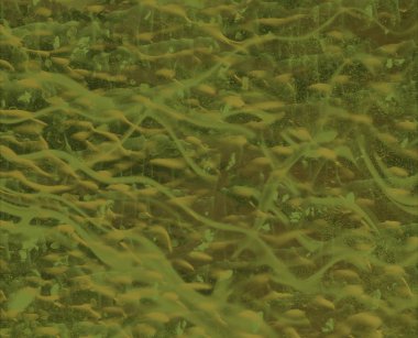 metin için alanı olan grunge arkaplanı