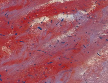 metin için alanı olan grunge arkaplanı