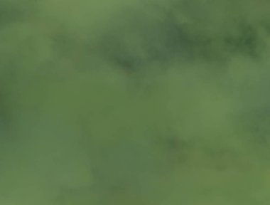 Renkli çiçek doku arka plan 