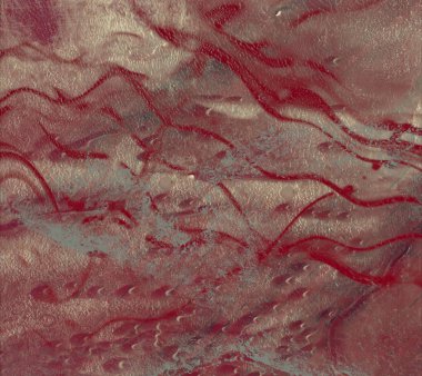 metin için alanı olan grunge arkaplanı