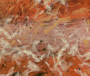 Beyaz arka plan üzerinde sonbahar yaprakları