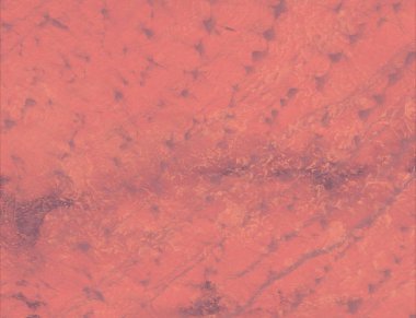 metin için alanı olan grunge arkaplanı