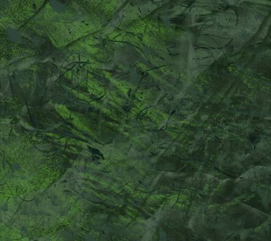 Ormanda yeşil yapraklar