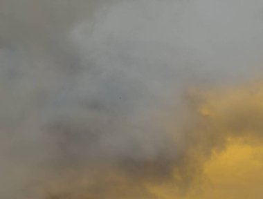 Taranmış Boyalı Soyut Arkaplan. Fırça darbeli resim.