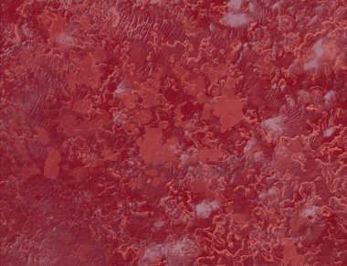 parkta kırmızı akçaağaç ağaç