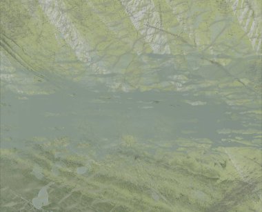 Sudaki yeşil çimenler