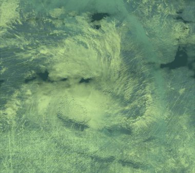 ormanda yeşil gökyüzü