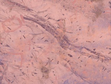 metin için alanı olan grunge arkaplanı