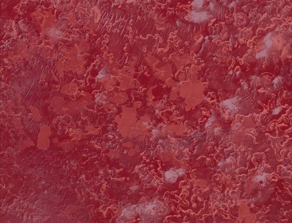 parkta kırmızı akçaağaç ağaç