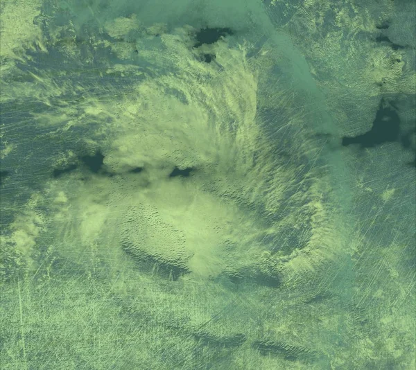 ormanda yeşil gökyüzü