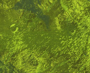 Ormanda yeşil yapraklar