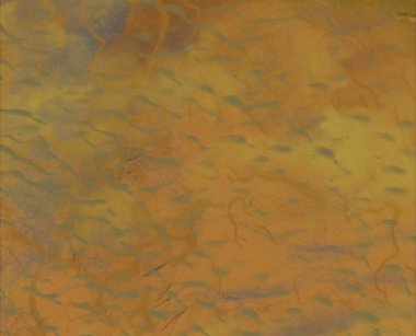 metin için alanı olan grunge arkaplanı