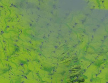 metin için alanı olan grunge arkaplanı