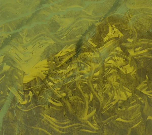 metin için alanı olan grunge arkaplanı